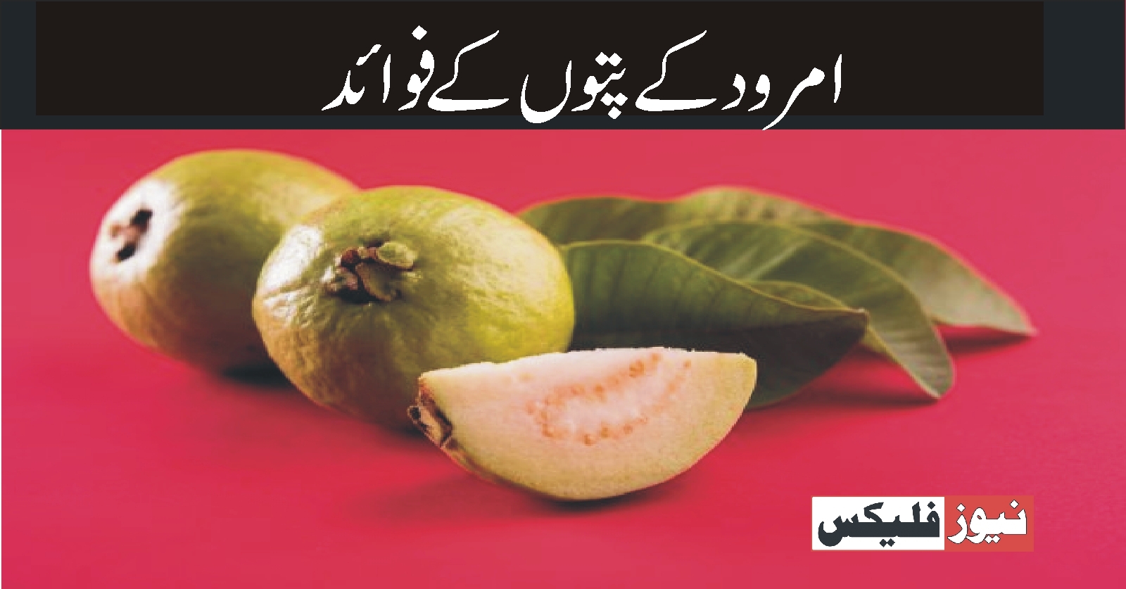 امرود کے پتوں کے فائدے