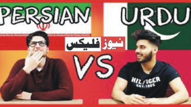 قانونی اصطلاحات :اردو فارسی کا تقابلی مطالعہ