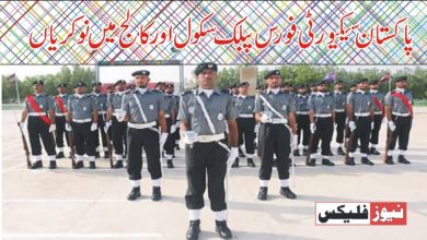 پاکستان ایئرپورٹ سیکیورٹی فورس پبلک اسکول اور کالج کراچی میں نوکریاں