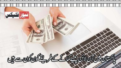 پاکستان میں آن لائن پیسہ کیسے کمایا جائے؟