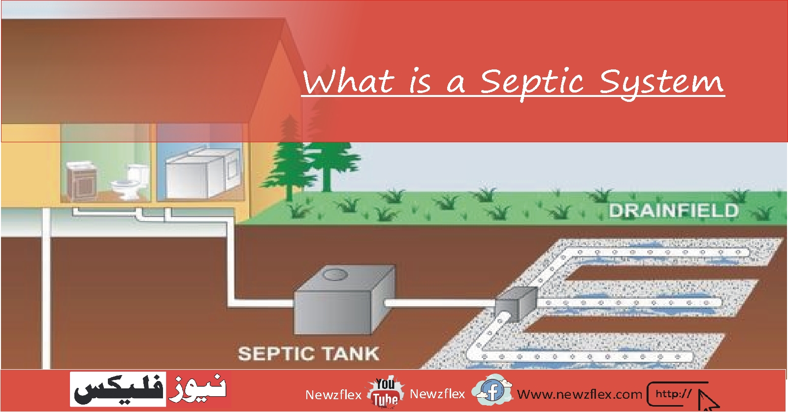 What is a Septic System