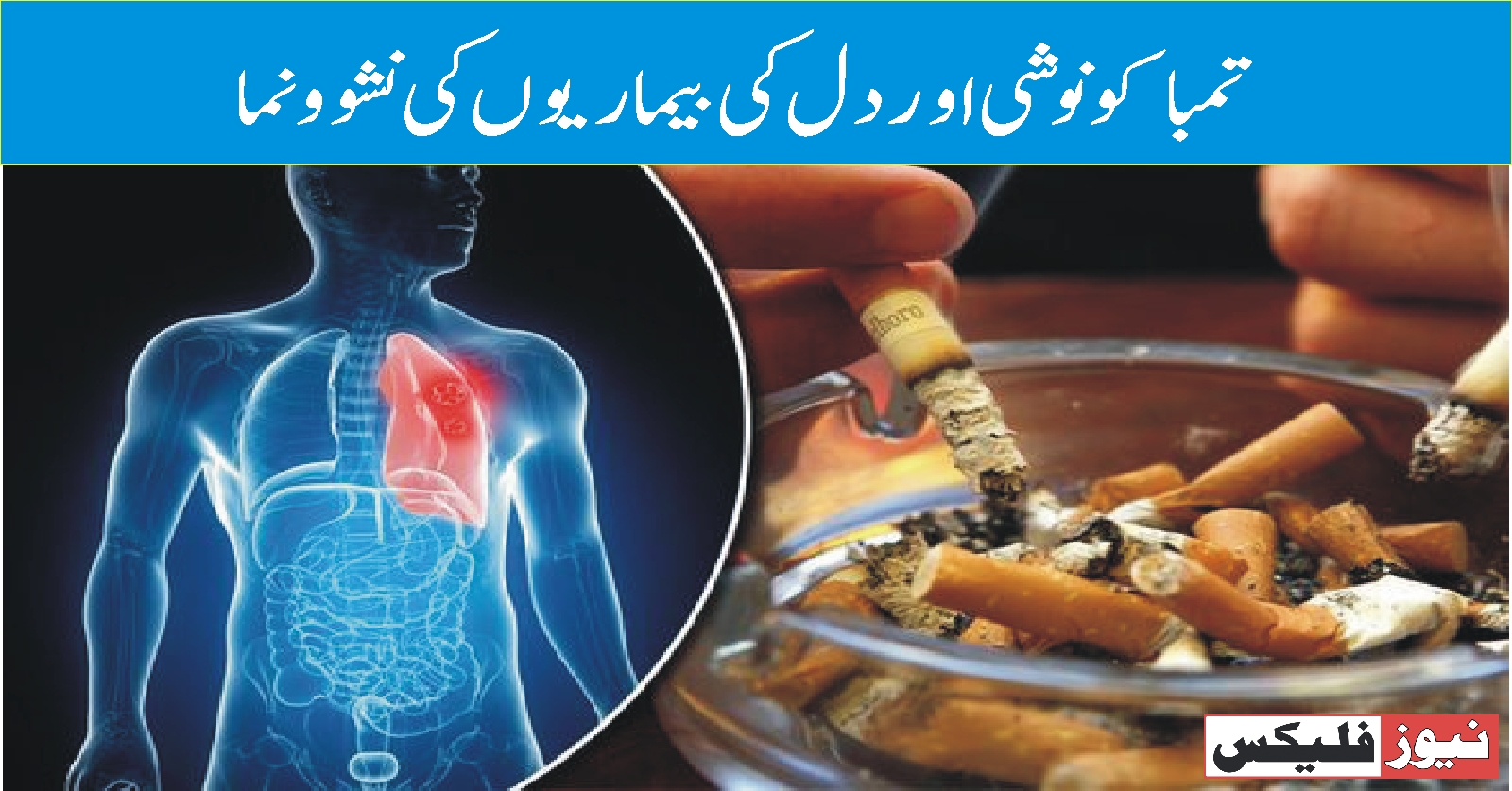 تمباکو نوشی اور دل کی بیماریوں کی نشوونما
