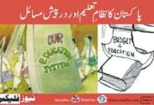 Pakistan's education system and the problems it faces