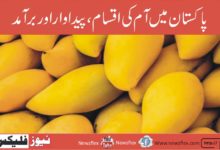 Mangoes in Pakistan: Varieties, Production & Export