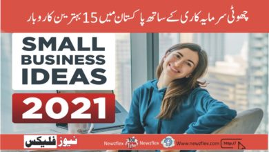 15 Best Business Ideas In Pakistan With Small Investment 2021