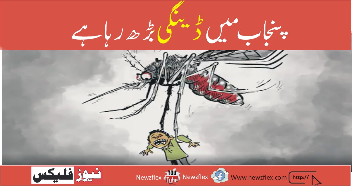 Dengue on the rise in Punjab