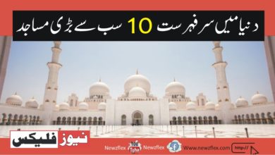 TOP 10 LARGEST MOSQUES IN THE WORLD