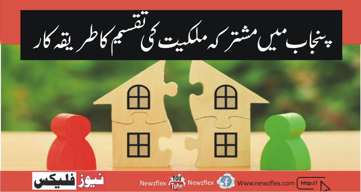 The Procedure for Partition of Jointly Owned Property in Punjab