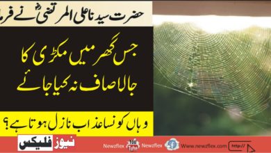 Hazrat Ali RA said: What kind of torment is inflicted on the house where the spider web is not cleaned?