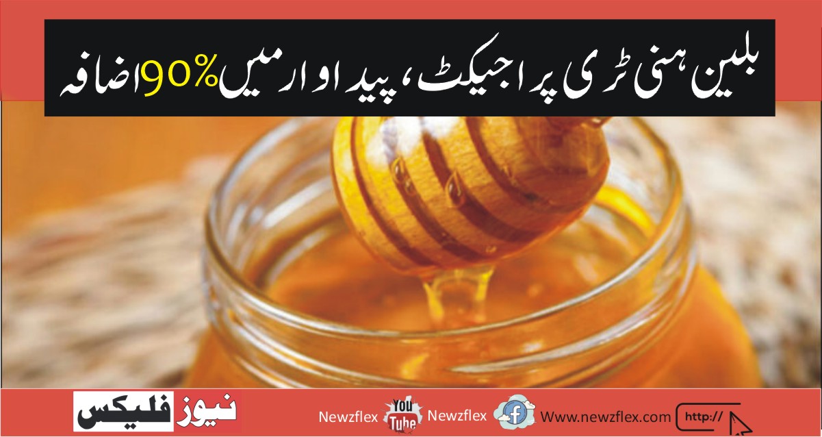 PM Imran Khan to announce Rs. 2 billion honey project that will boost production by 90% in two years