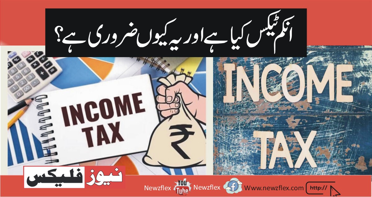 What is Income Tax and Why is It Important?