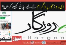 How to Apply for the E-Rozgaar Programme