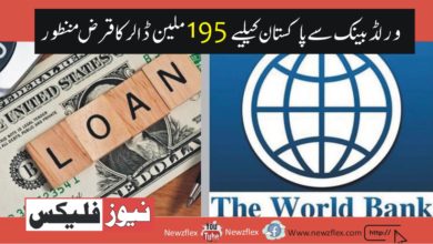 ورلڈ بینک سے پاکستان کے لیے 195 ملین ڈالر کا قرض منظور