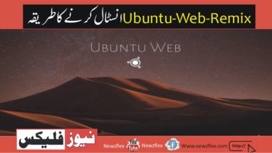 How to install Ubuntu Web Remix