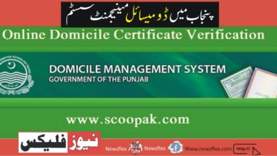 Domicile Management System in Punjab