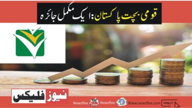 National Savings Pakistan: A Complete Overview