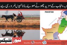 صوبہ پنجاب پاکستان کی آبادی کا ٪53تقسیم کر کے چھوٹے صوبے بنانا کیوں ضروری ہے؟