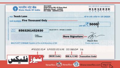 What is the difference between order cheque and bearer cheque? What is a bearer cheque? What is an order cheque?