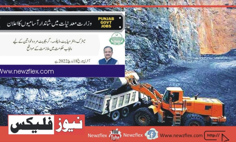 Punjab Govt Jobs 2022 at Ministry of Mines and Minerals