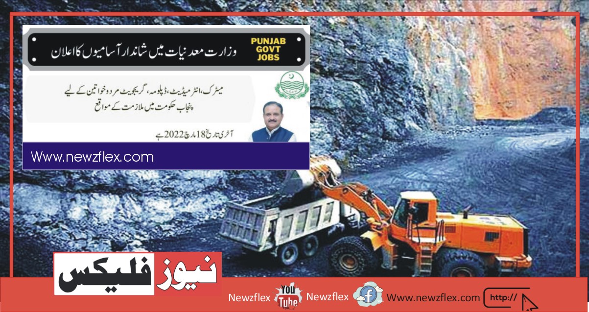 Punjab Govt Jobs 2022 at Ministry of Mines and Minerals