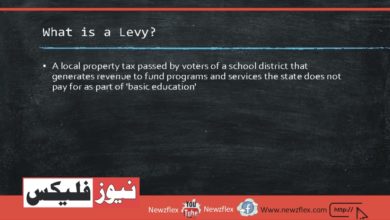 What Is a Levy?
