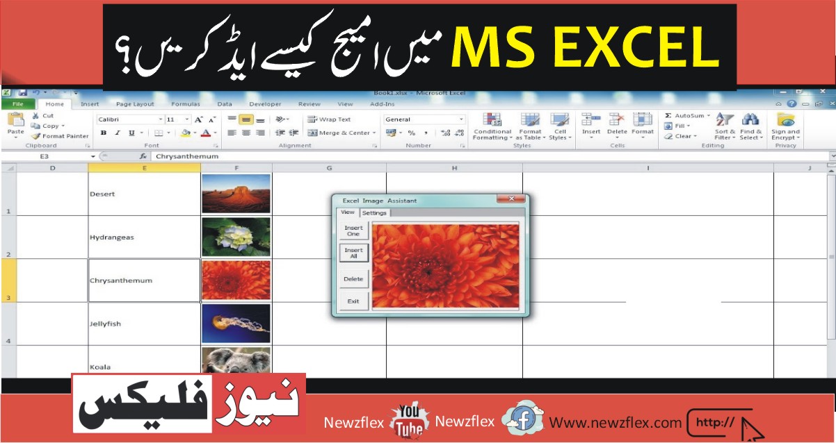 How to insert an image in Excel – Microsoft 365