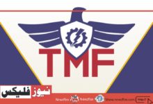 Technology Modernization Fund (TMF)