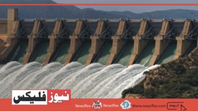 پاکستان 60,000 میگاواٹ پن بجلی پیدا کرنے کی صلاحیت رکھتا ہے۔ وزیراعظم شہباز شریف