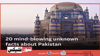 پاکستان کے بارے میں 20 حیران کن حقائق