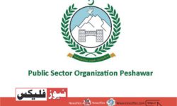 پبلک سیکٹر آرگنائزیشن پشاور میں تازہ ترین نوکریوں کا اعلان ستمبر 2023 کا اشتہار
