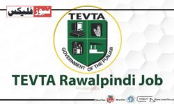 ٹیوٹا راولپنڈی میں کمپیوٹر انسٹرکٹر کی نوکریاں ستمبر 2023