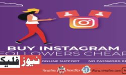 How to Get Cheap Instagram Followers & Why You Should Care?